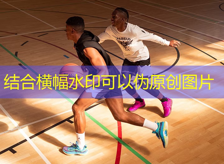 景洪室內(nèi)健身器材