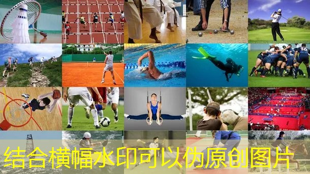 室內健身房的運營