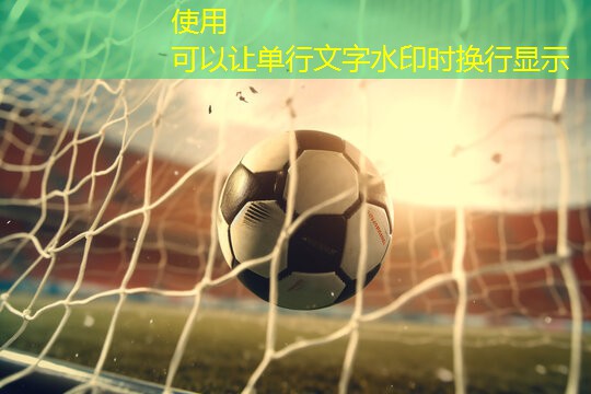 運動場館在城市防災(zāi)減災(zāi)中扮演了什么角色？