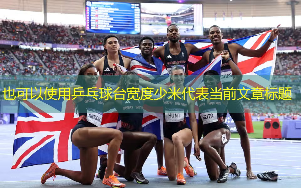 乒乓球臺(tái)寬度少米