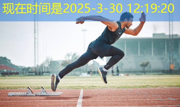 健身器材踏步機(jī)大全