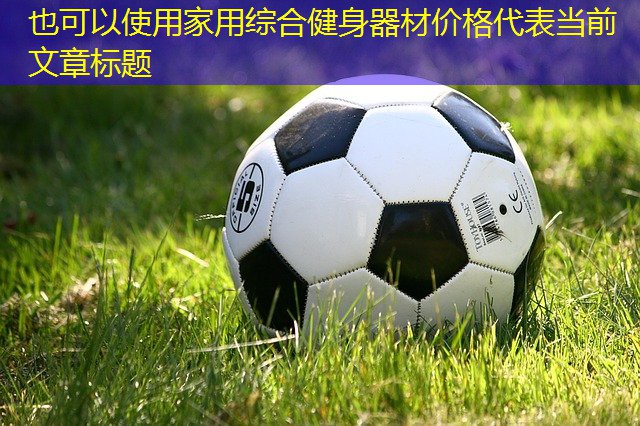 家用綜合健身器材價格