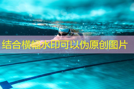 自由力量訓練器材