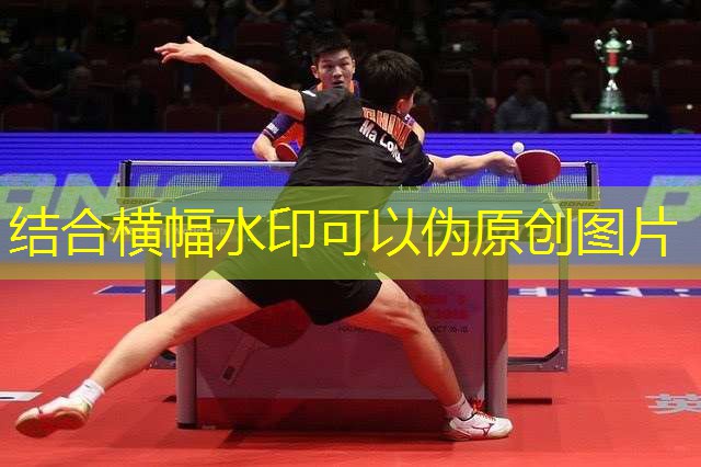 海陸空全方位運動，室外體育用品健身器材推薦助你展現非凡魅力！